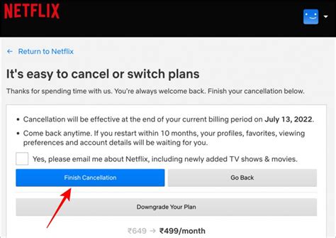 How to Cancel Your Netflix Subscription Quickly and .